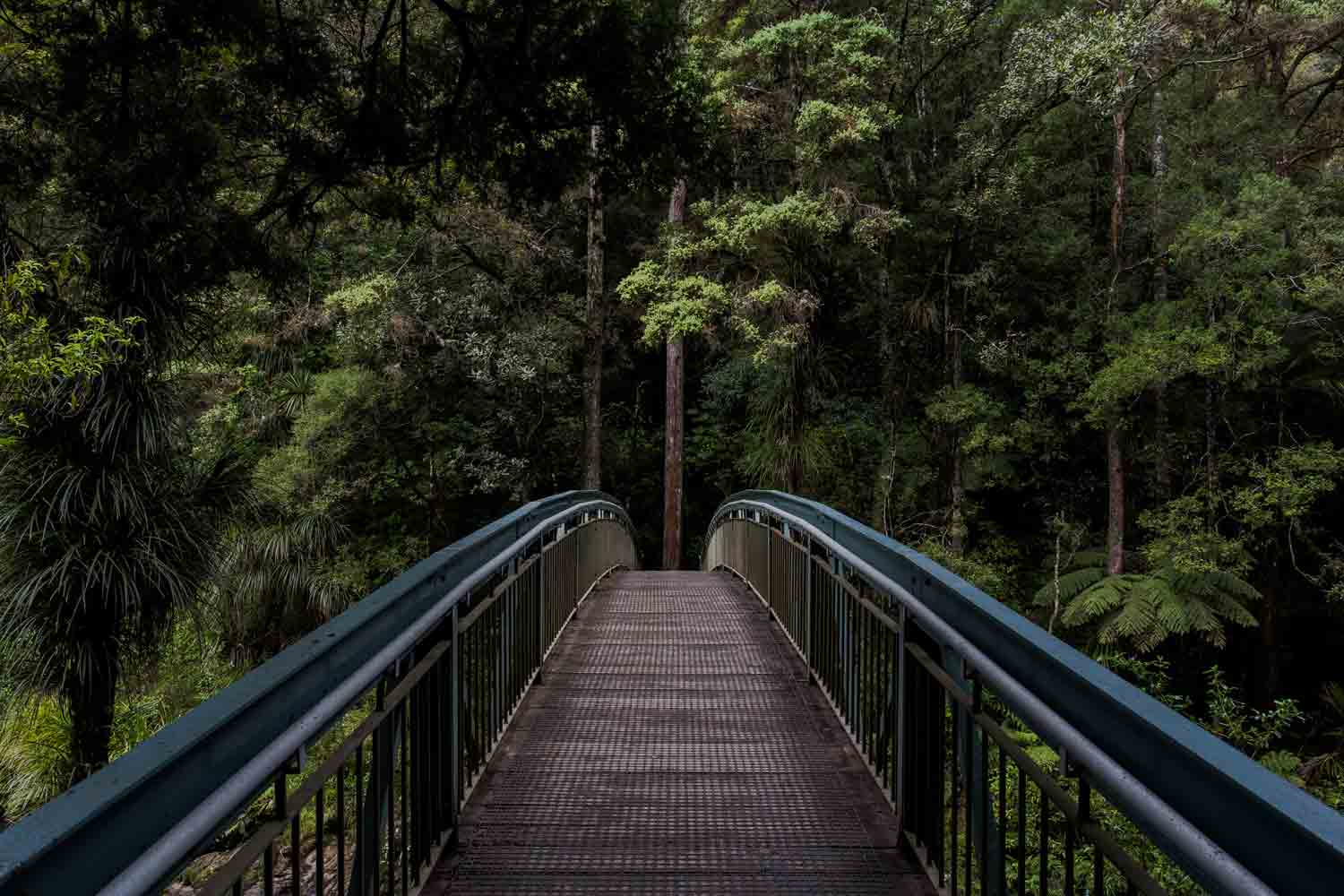 Bridge nature - Photo by Tim Swaan